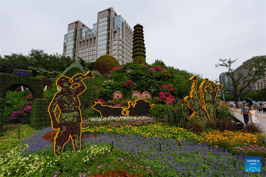 Exibi??es florais enfeitam Beijing antes do desfile do Dia da Vitória