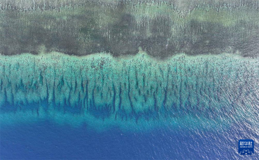 China divulga detalhes da Reserva Natural Nacional de Huangyan Dao