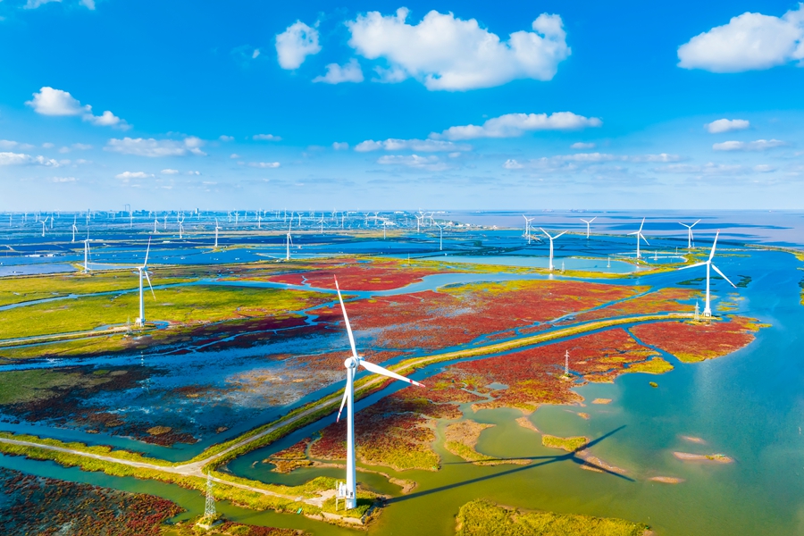 World Coastal Forum 2025 é inaugurado em Yancheng, Jiangsu