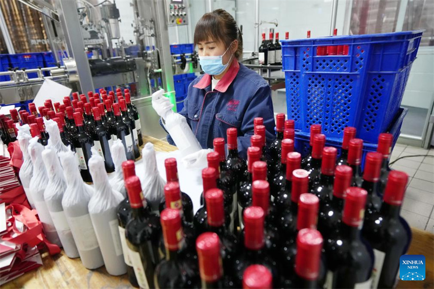 Ningxia: vila de Minning prospera em meio à transforma??o ecológica