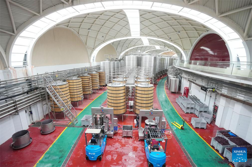 Ningxia: vila de Minning prospera em meio à transforma??o ecológica