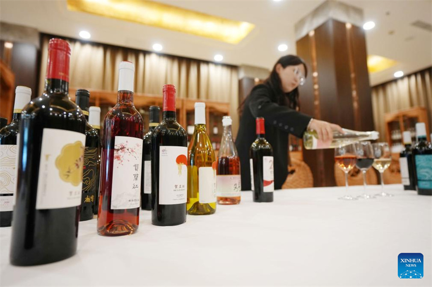 Ningxia: vila de Minning prospera em meio à transforma??o ecológica