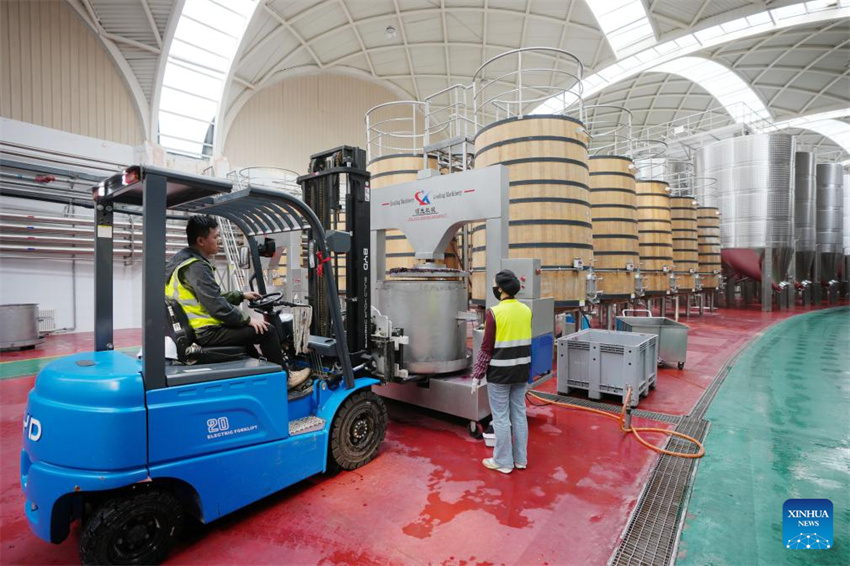 Ningxia: vila de Minning prospera em meio à transforma??o ecológica