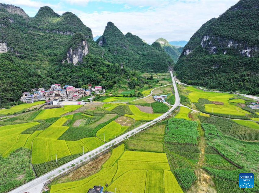 Galeria: paisagem outonal em toda a China