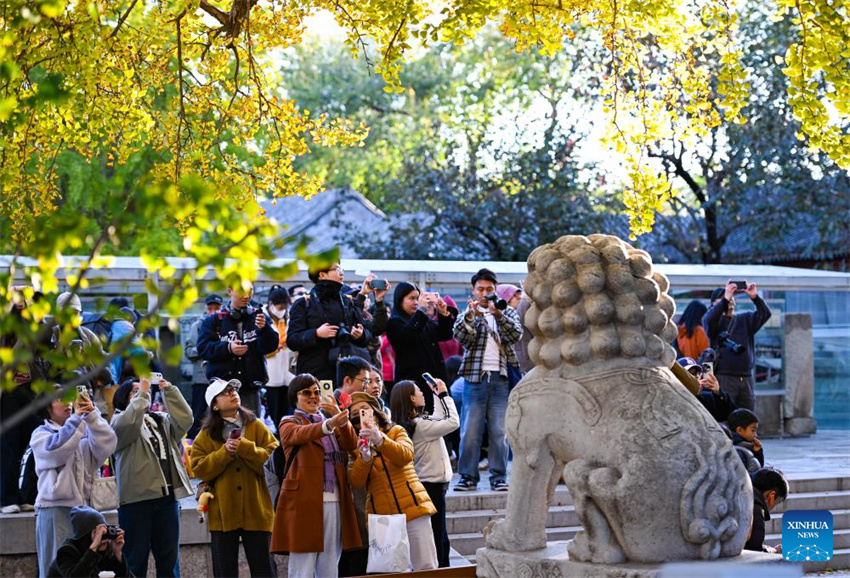 Museu de Arte de Escultura em Pedra de Beijing atrai turistas