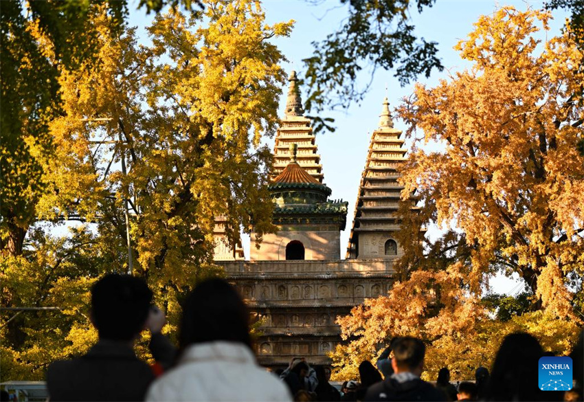 Museu de Arte de Escultura em Pedra de Beijing atrai turistas