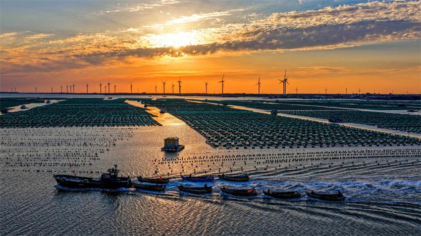 Testemunhando a constru??o de belas baías em Shandong, no leste da China