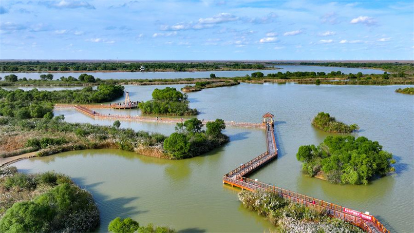 Testemunhando a constru??o de belas baías em Shandong, no leste da China