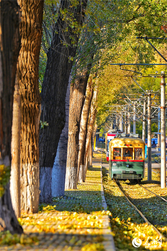Bonde cultural e turístico se torna 