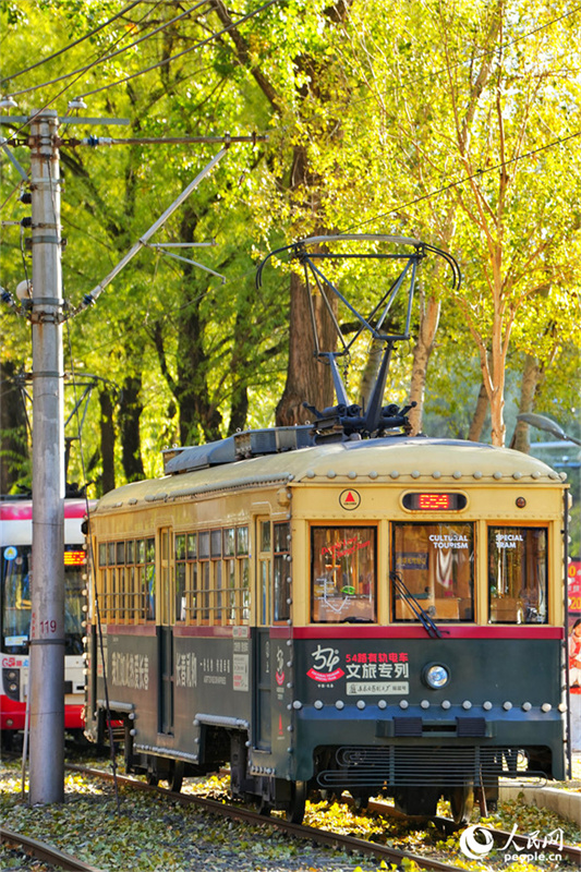 Bonde cultural e turístico se torna 