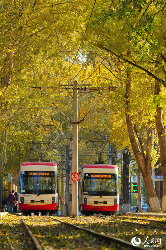 Bonde cultural e turístico se torna 