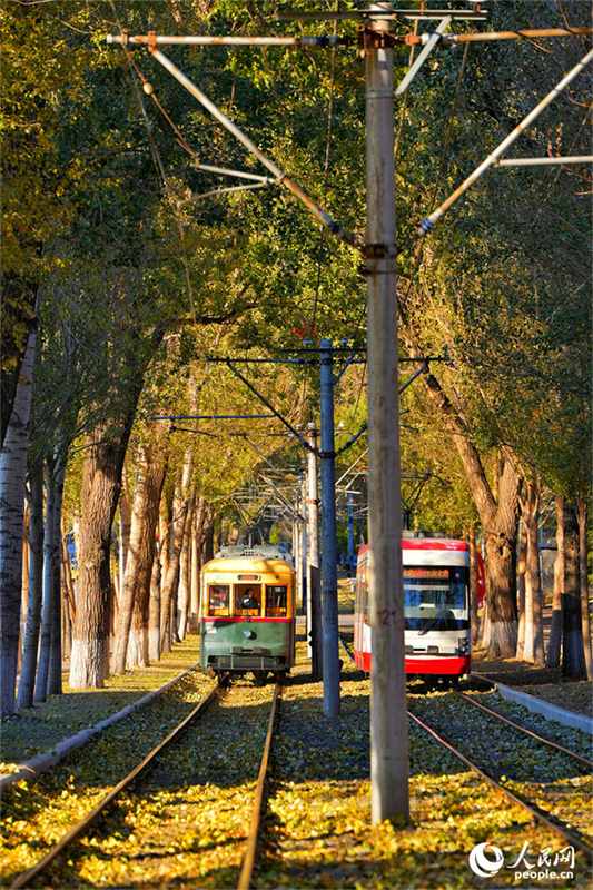 Bonde cultural e turístico se torna 