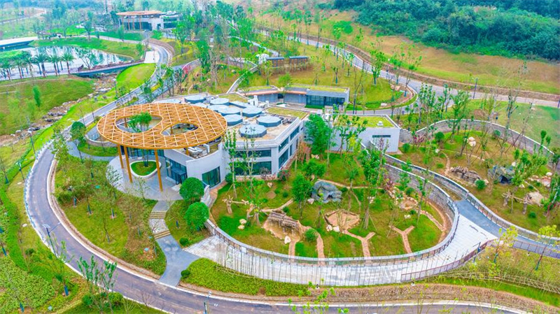 Nova base de pandas inicia opera??o experimental no sudoeste da China