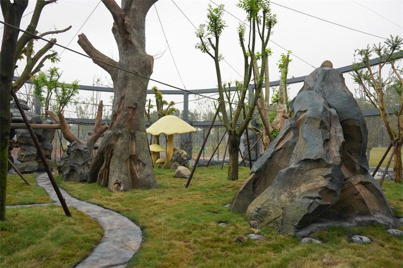 Nova base de pandas inicia opera??o experimental no sudoeste da China