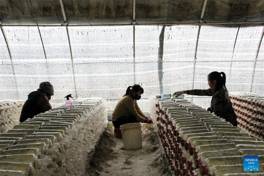 Rodovia nacional G331 da China traz vitalidade à regi?o