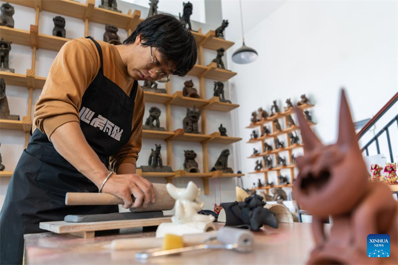 Jovem herdeira revive antiga arte de gatos guardi?es no sudoeste da China