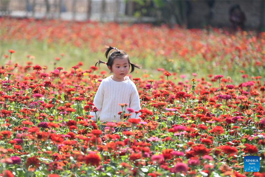 Turismo floresce em Guangxi, no sul da China