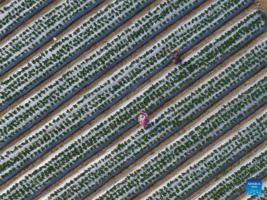 Turismo floresce em Guangxi, no sul da China
