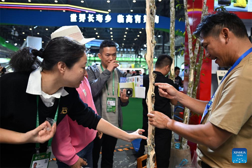 28a Feira Internacional de Inverno da China (Hainan) inaugurada em Haikou