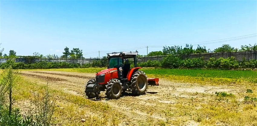 Produ??o de gr?os da China ultrapassa 714 milh?es de toneladas em 2025