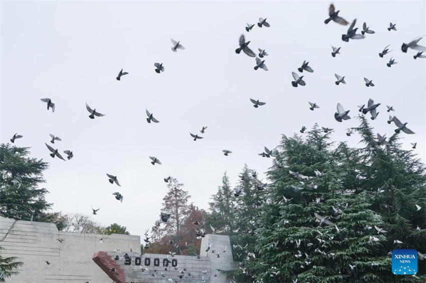 China realiza cerim?nia memorial nacional pelas vítimas do Massacre de Nanjing, pedindo que a história seja lembrada