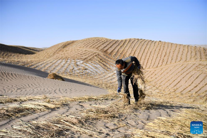 Projeto de controle da desertifica??o em andamento em Gansu, noroeste da China