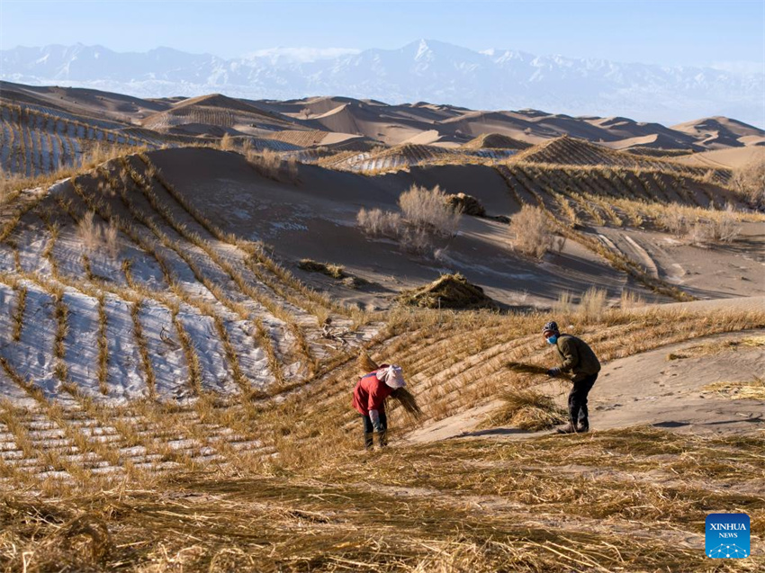 Projeto de controle da desertifica??o em andamento em Gansu, noroeste da China