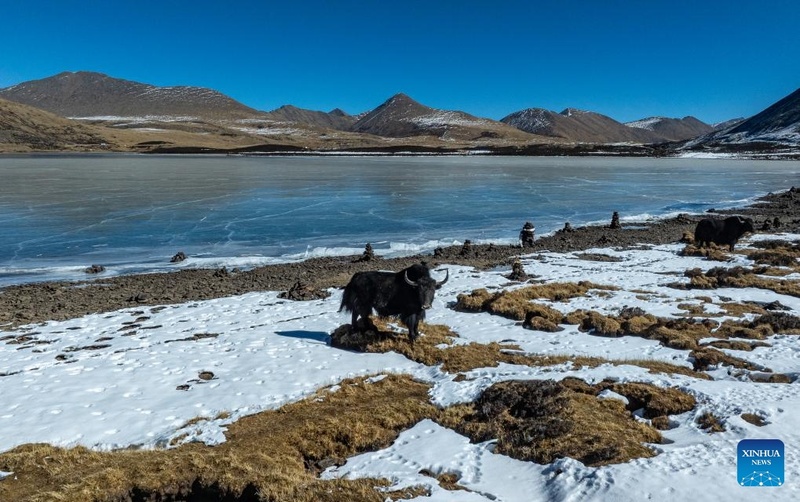 Galeria: paisagem lacustre em Xizang, sudoeste da China