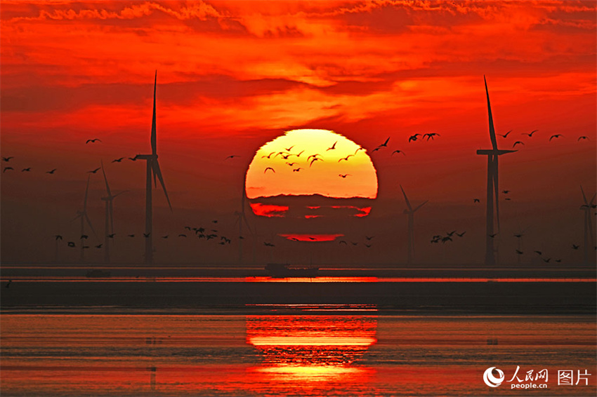 China: projeto de energia eólica offshore mais distante da costa conecta à rede elétrica