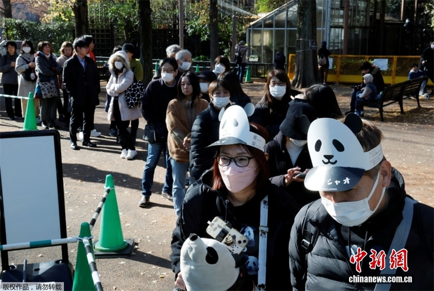 Japoneses fazem fila para se despedir dos últimos pandas-gigantes no país